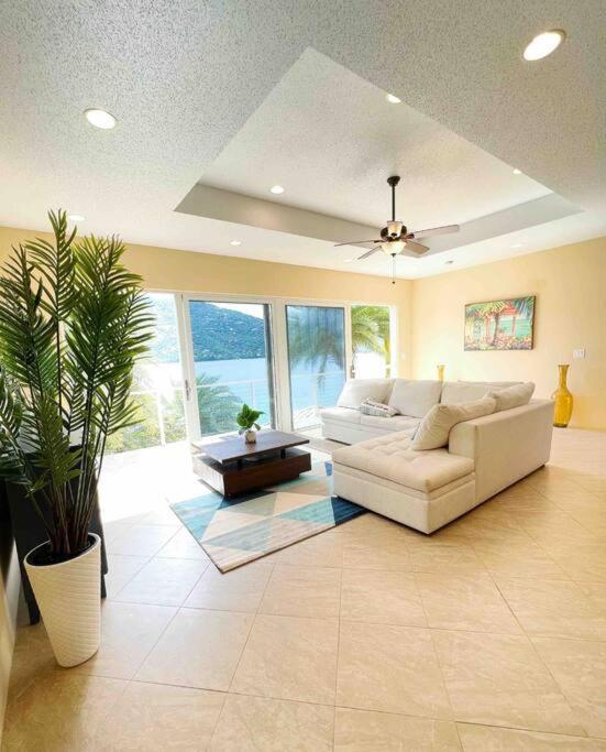 Sailfish Villa Luxury Beachfront Estate Magens Bay Cruz Bay المظهر الخارجي الصورة