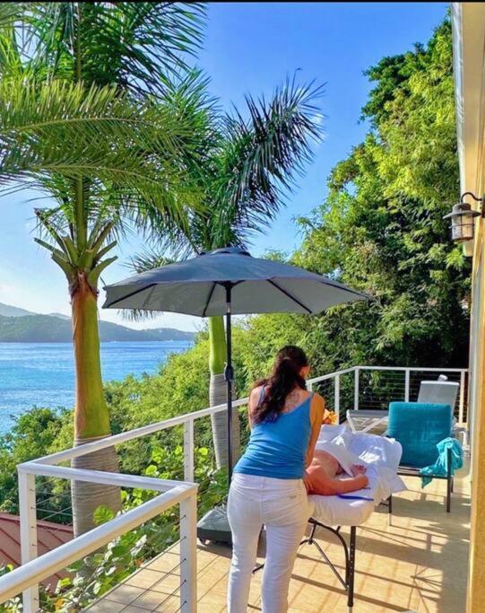 Sailfish Villa Luxury Beachfront Estate Magens Bay Cruz Bay المظهر الخارجي الصورة