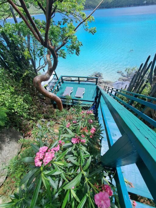 Sailfish Villa Luxury Beachfront Estate Magens Bay Cruz Bay المظهر الخارجي الصورة